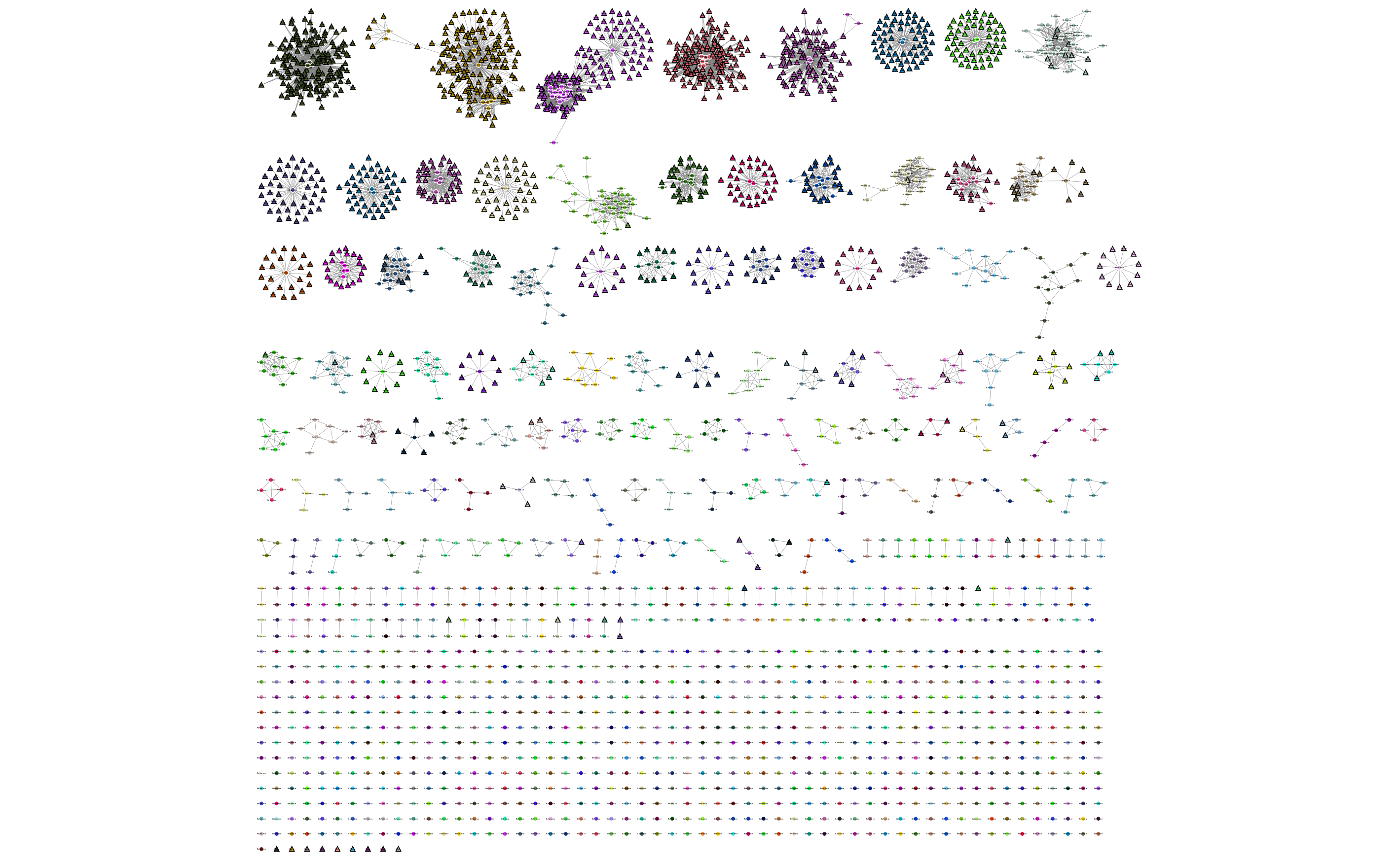 Network produced after query assignment