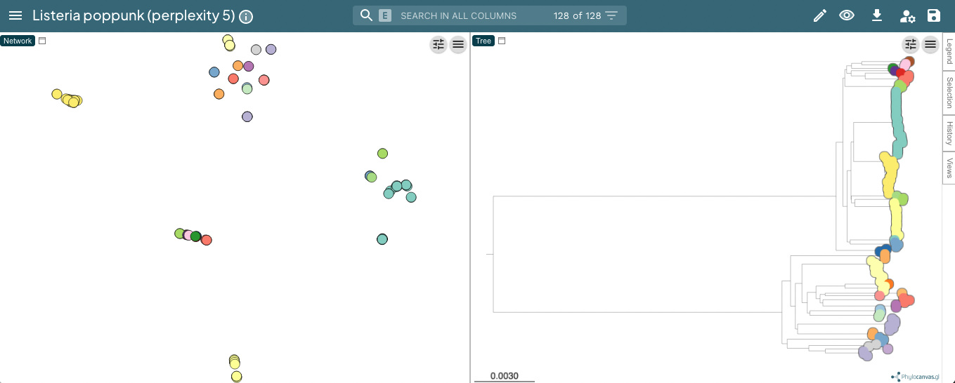 Microreact plot of results with perplexity = 5