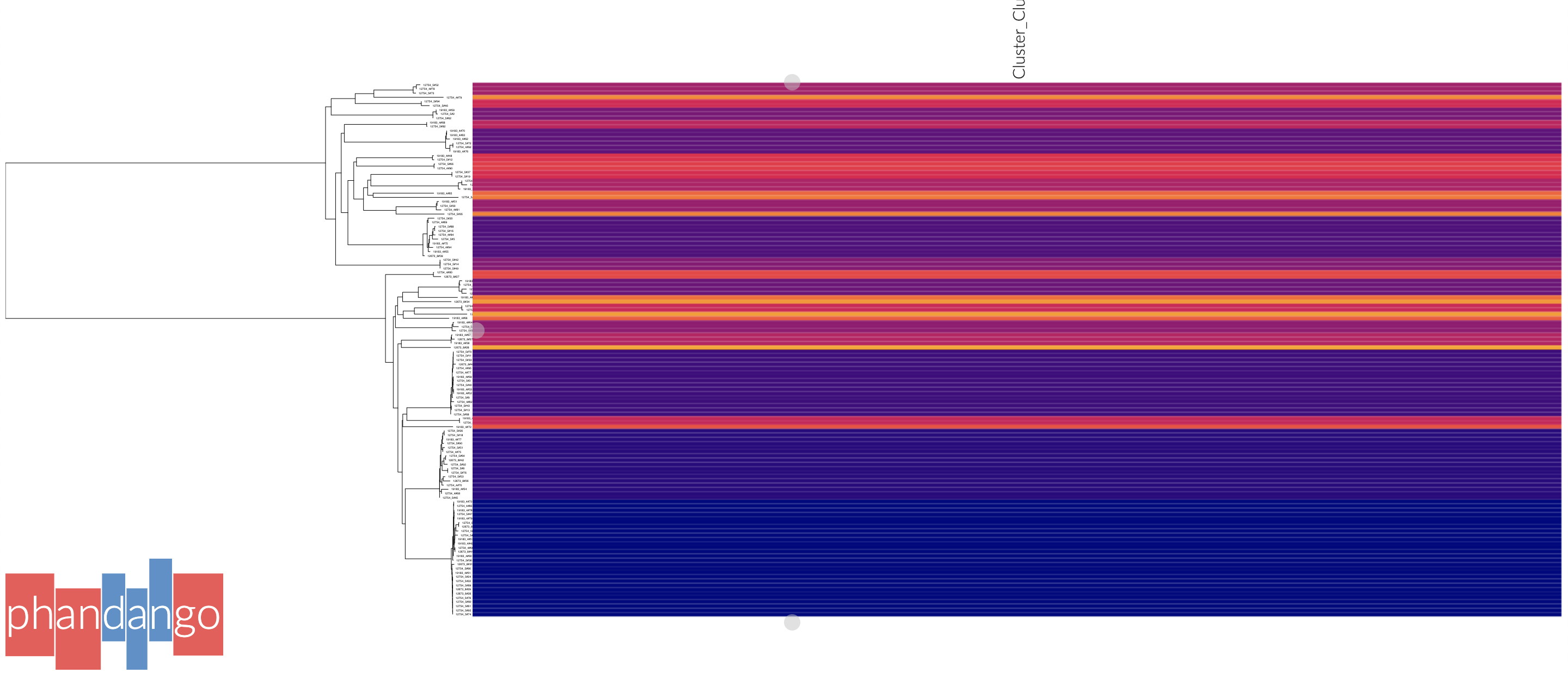 Phandango visualisation of results
