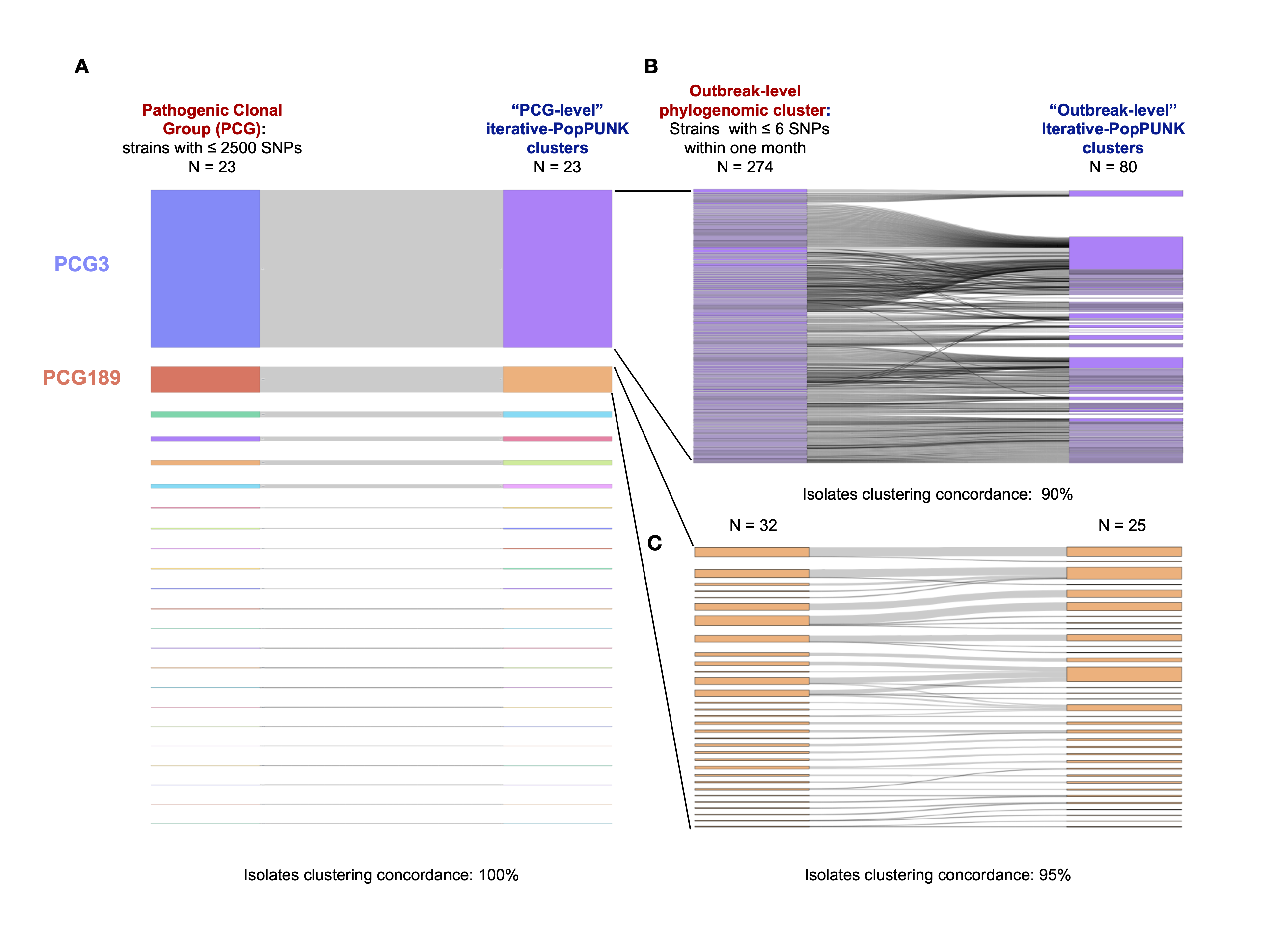 Iterative-PopPUNK multi-level clustering results from Clonal Groups to Outbreak level